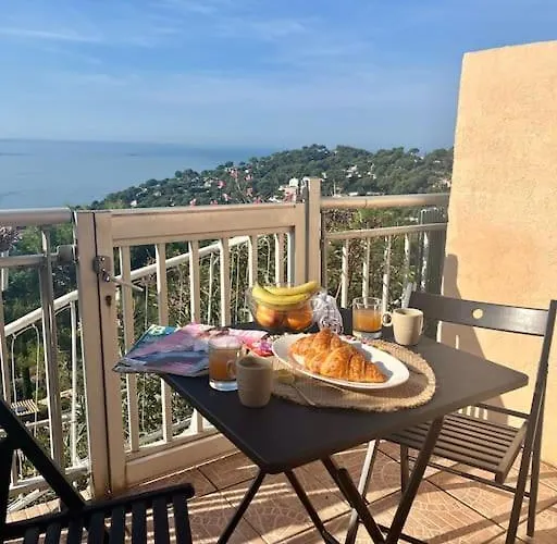 Apartment Avec Terrasse Privee Et Vue Exceptionnelle *